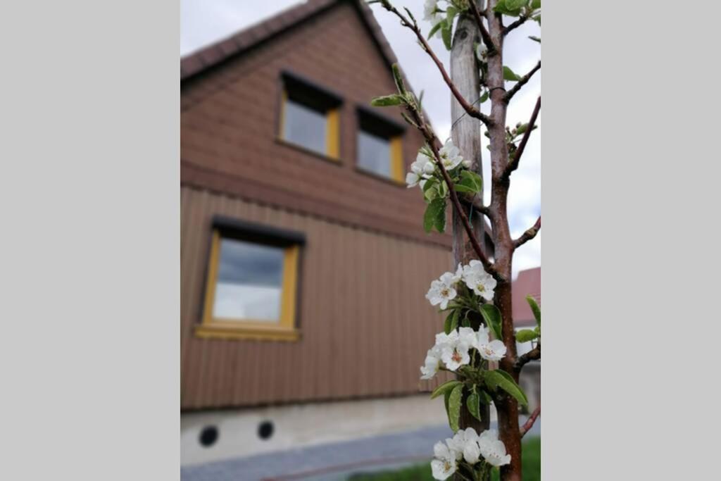 Harzhaus Ida Elbingerode (Saxony-Anhalt) Exterior foto