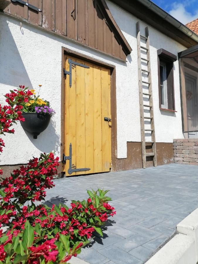 Harzhaus Ida Elbingerode (Saxony-Anhalt) Exterior foto